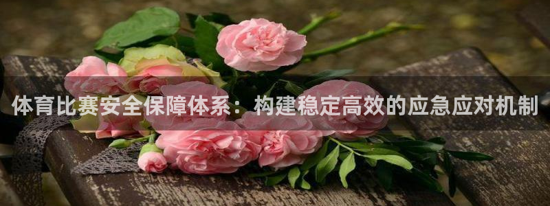 南京君临国际安全吗