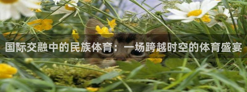 君临海域