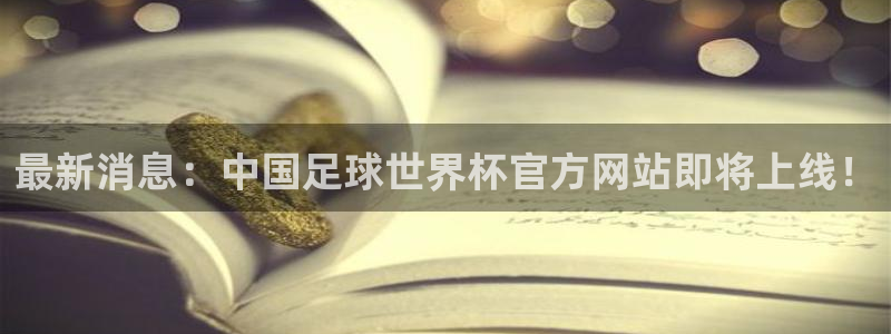 君临海域学位