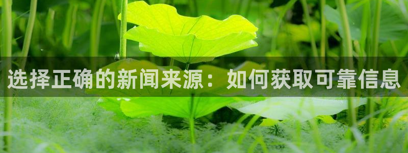 君临天下之九龙夺嫡在线观看