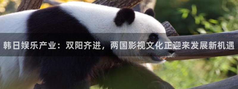 君临海域如何