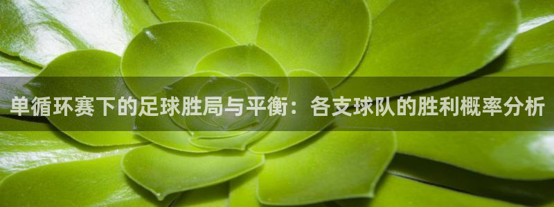 宿迁君临国际在哪里