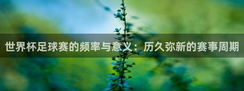君临海域户型图