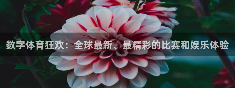 祥生君临府