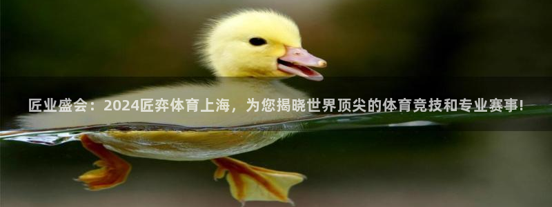 君临华府户型图