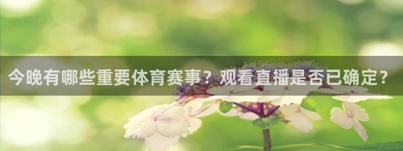 君临战国