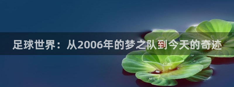 君临国际公寓价格