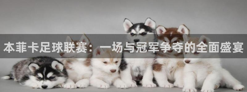 福州君临天华