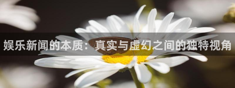 河源君临华府