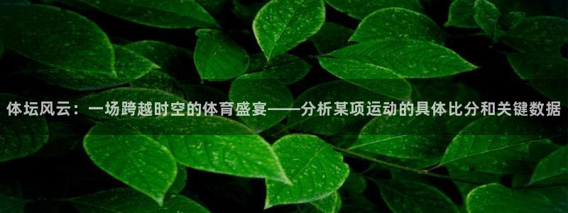 海口滨海国际君临湾